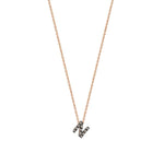 Letters Cubic Small Size Necklace - Champagne Diamond