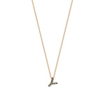 Letters Cubic Small Size Necklace - Champagne Diamond