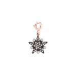 Eclectic Star Charm - Champagne Diamond