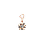 Eclectic Star Circle Charm - Champagne Diamond